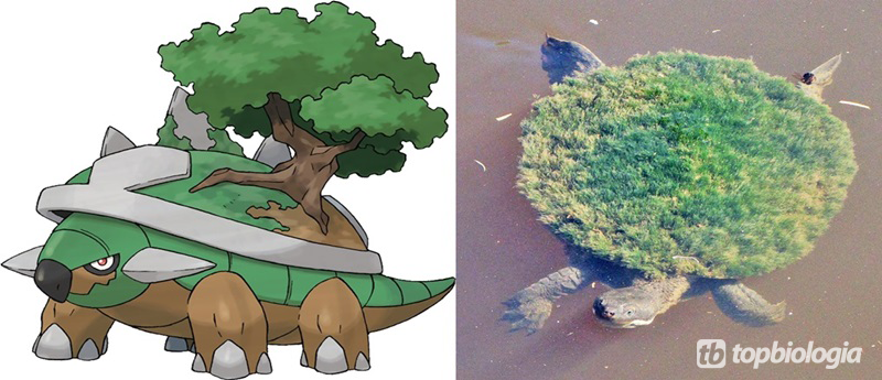 Pokémons da vida real