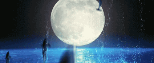 tumblr_lqsiewPW101qdcri5o1_500