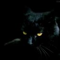 Eu não sou supersticioso porque ser supersticioso da azar!