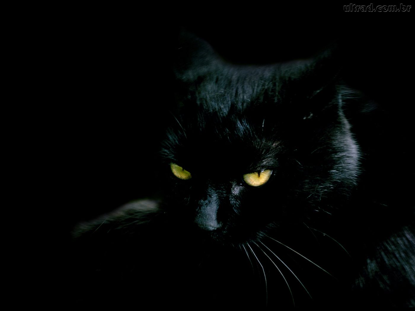 Eu não sou supersticioso porque ser supersticioso da azar!