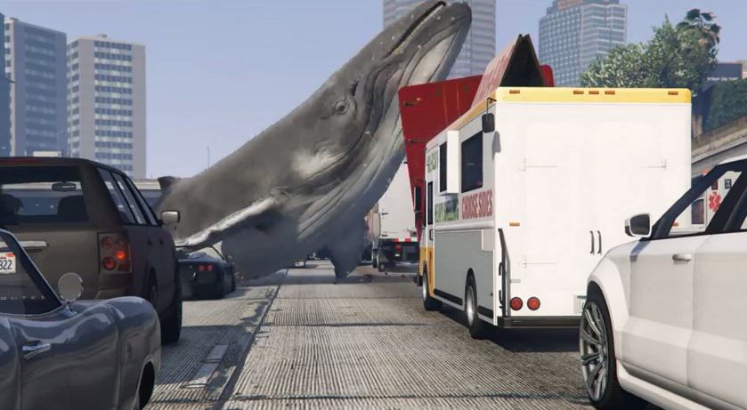 Baleias e o novo GTA