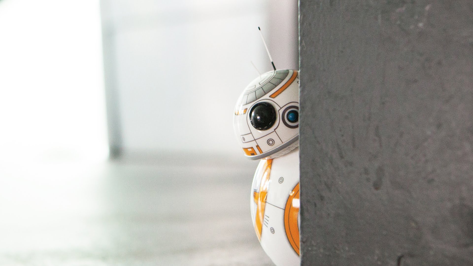 Todo nosso amor ao Bb8