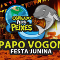 Papo Vogon 17 – Pinhão, fogueira e bandeirinhas!