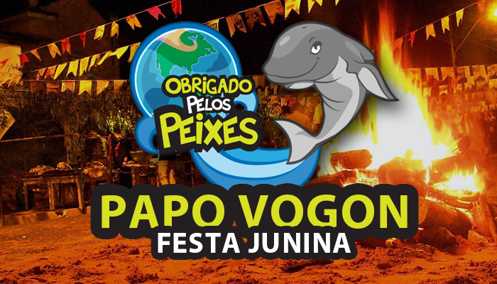 Papo Vogon 17 – Pinhão, fogueira e bandeirinhas!