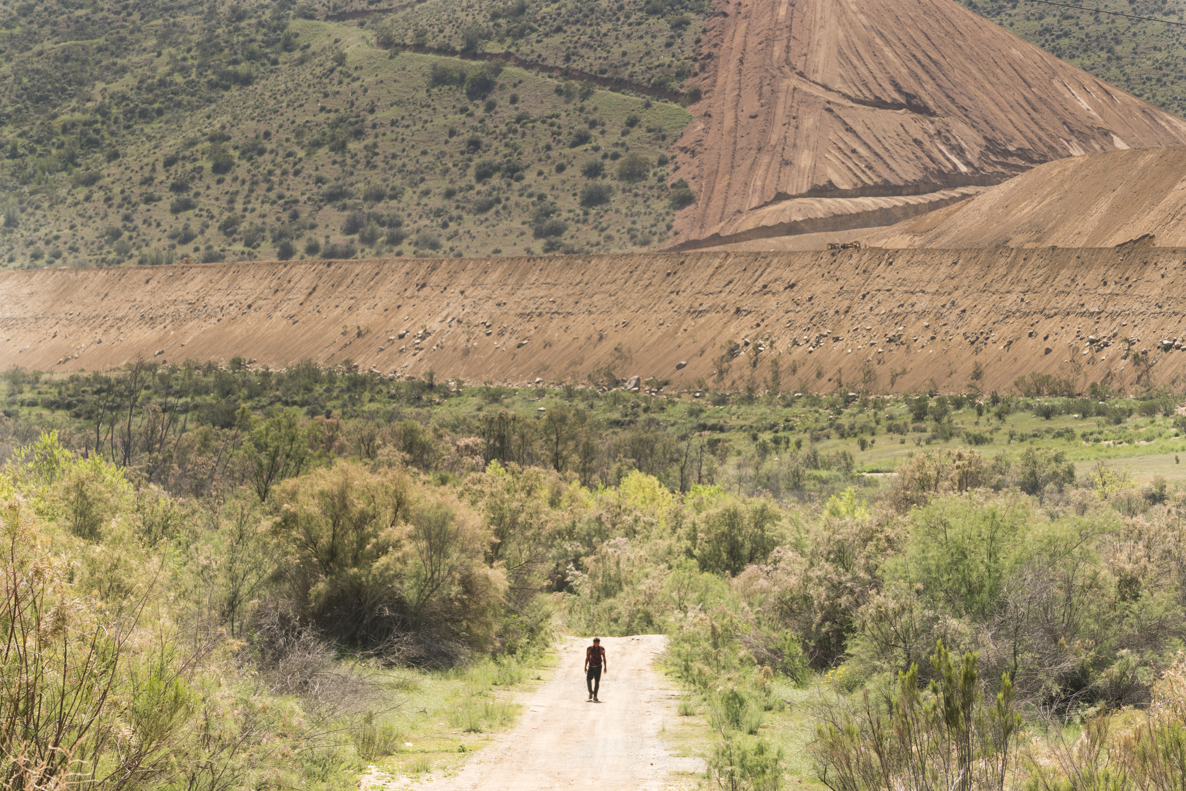 Frank Dillane as Nick Clark - Fear The Walking Dead _ Season 2, Episode 8 - Photo Credit: Richard Foreman Jr/AMC