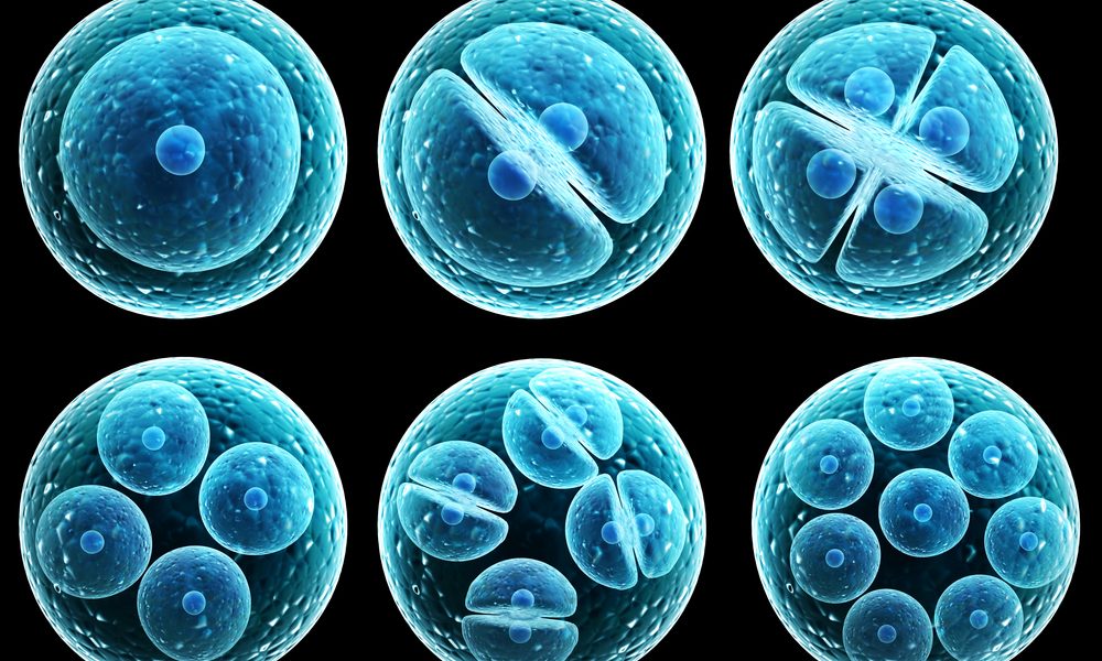 Cientistas contam todas as moléculas de proteína em uma célula e a resposta é 42