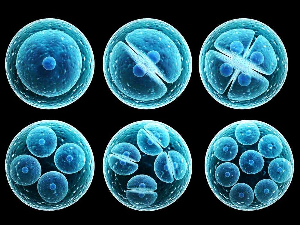 Cientistas contam todas as moléculas de proteína em uma célula e a resposta é 42
