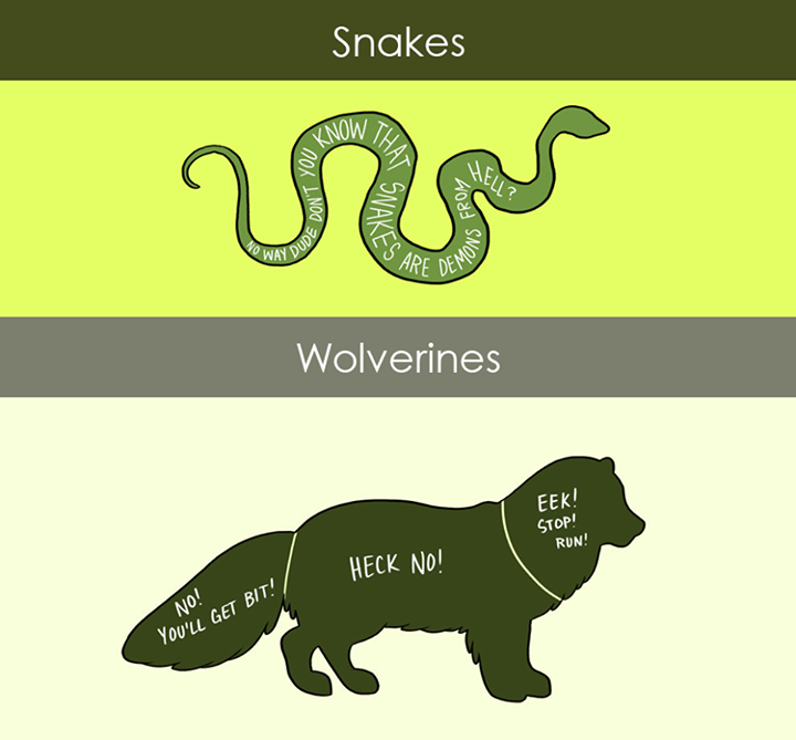 10609521_748915681842973_1889678434736283636_n