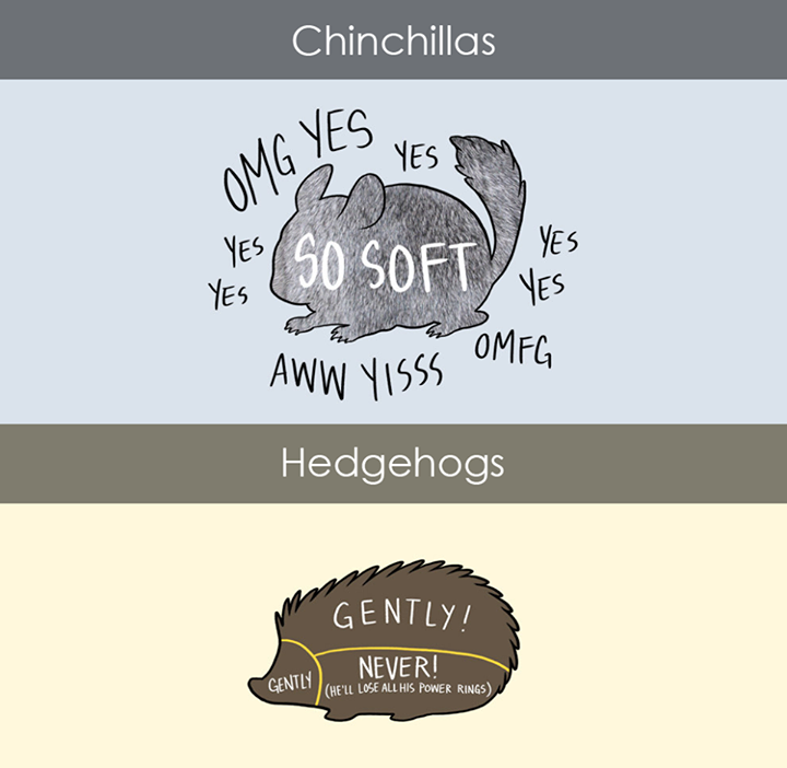 63780_748915701842971_4279140879416440166_n