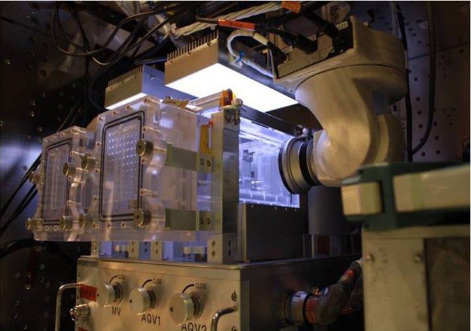 670713main_aquatic1_lg