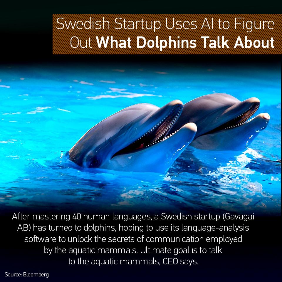 75aa97a7-4aab-404a-95c9-0053f660e8c9-original